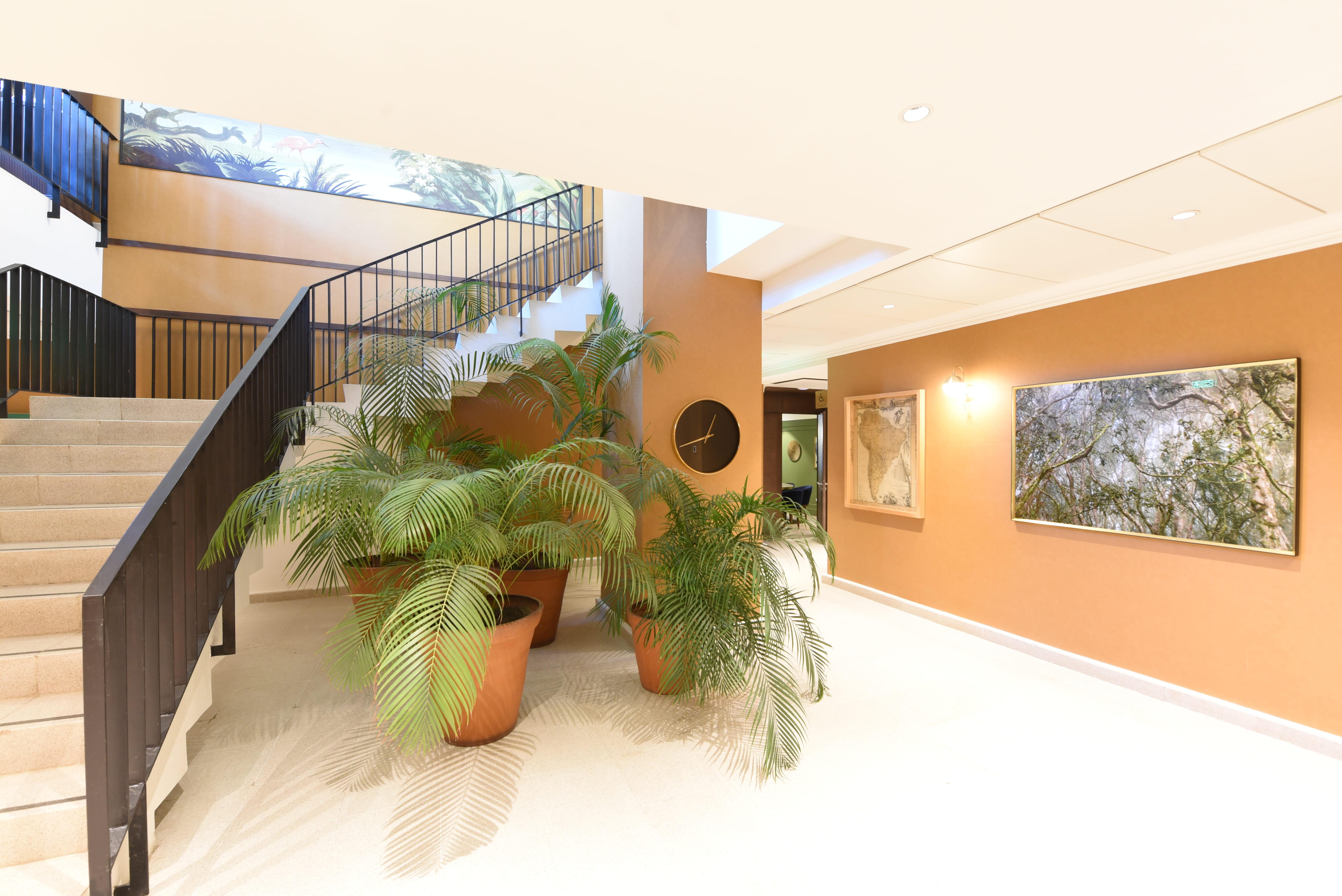 Hotel Eco Boutique Bidasoa Santiago Dış mekan fotoğraf