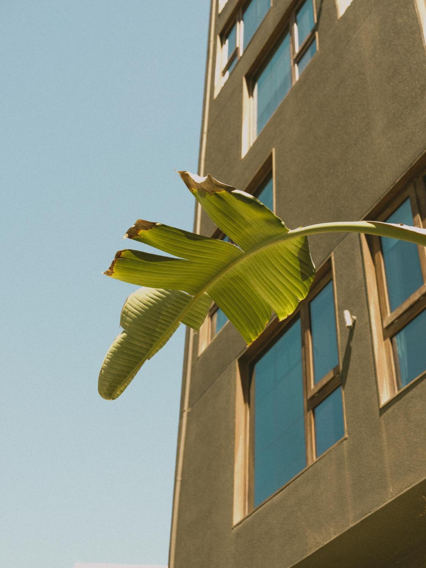 Hotel Eco Boutique Bidasoa Santiago Dış mekan fotoğraf