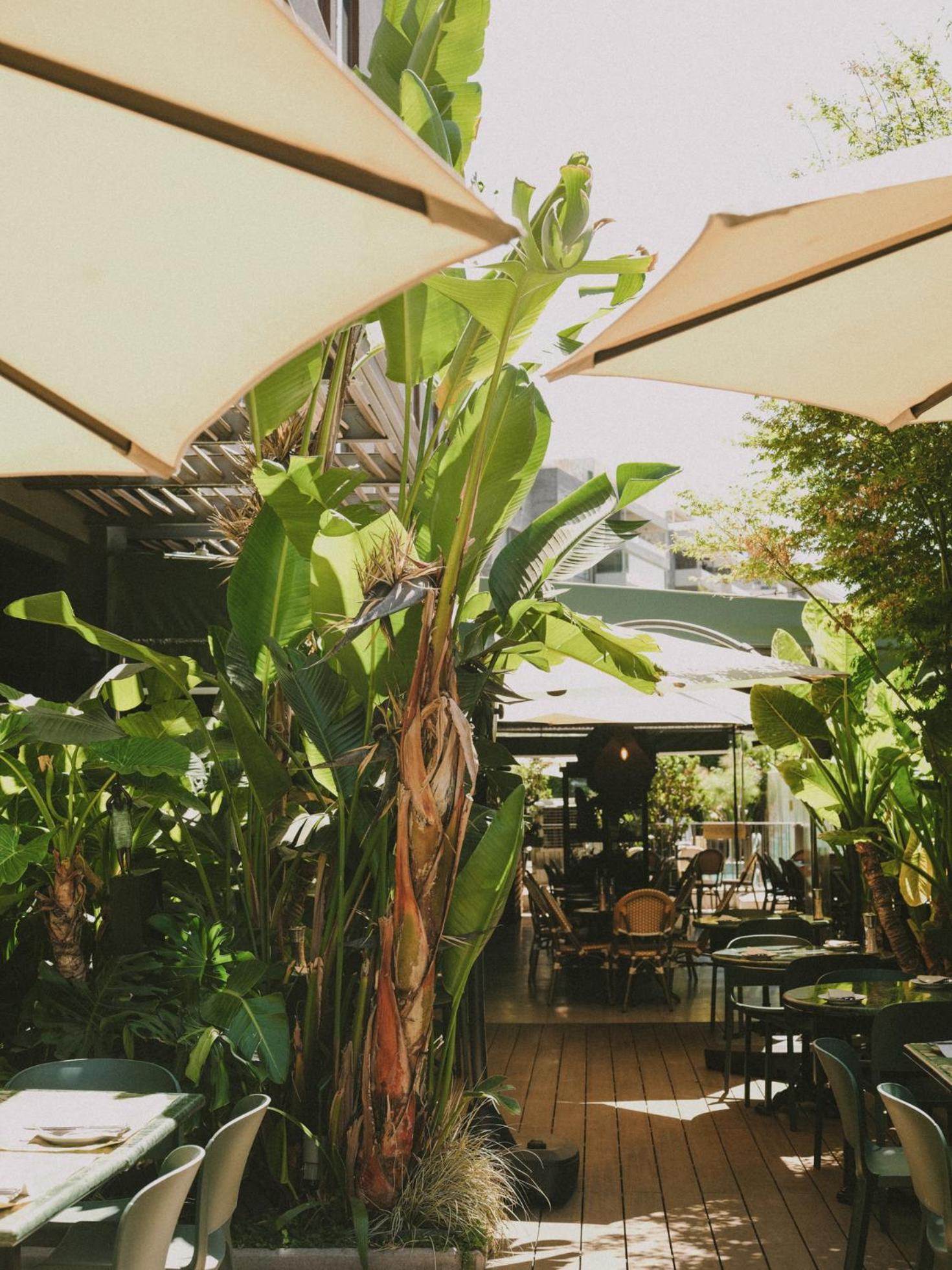 Hotel Eco Boutique Bidasoa Santiago Dış mekan fotoğraf